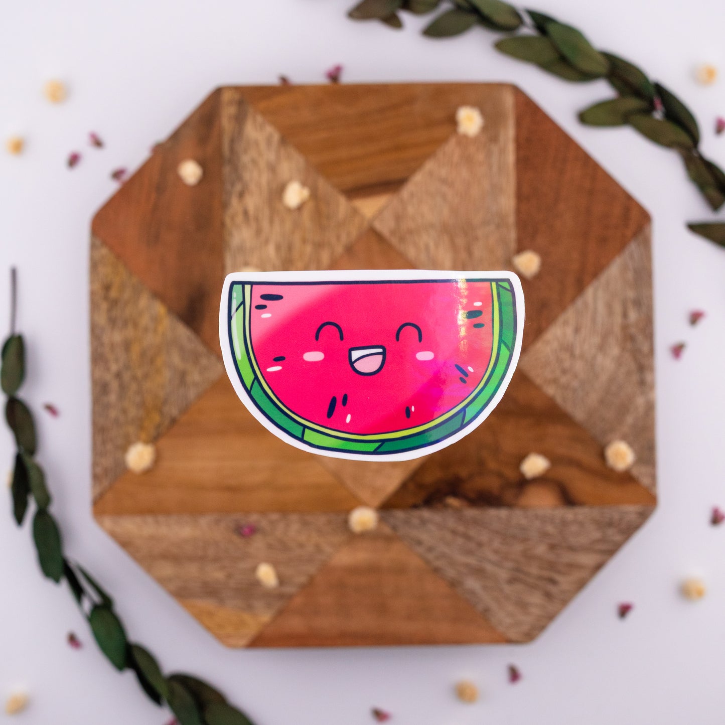 Watermelon Smiles Vinyl Sticker