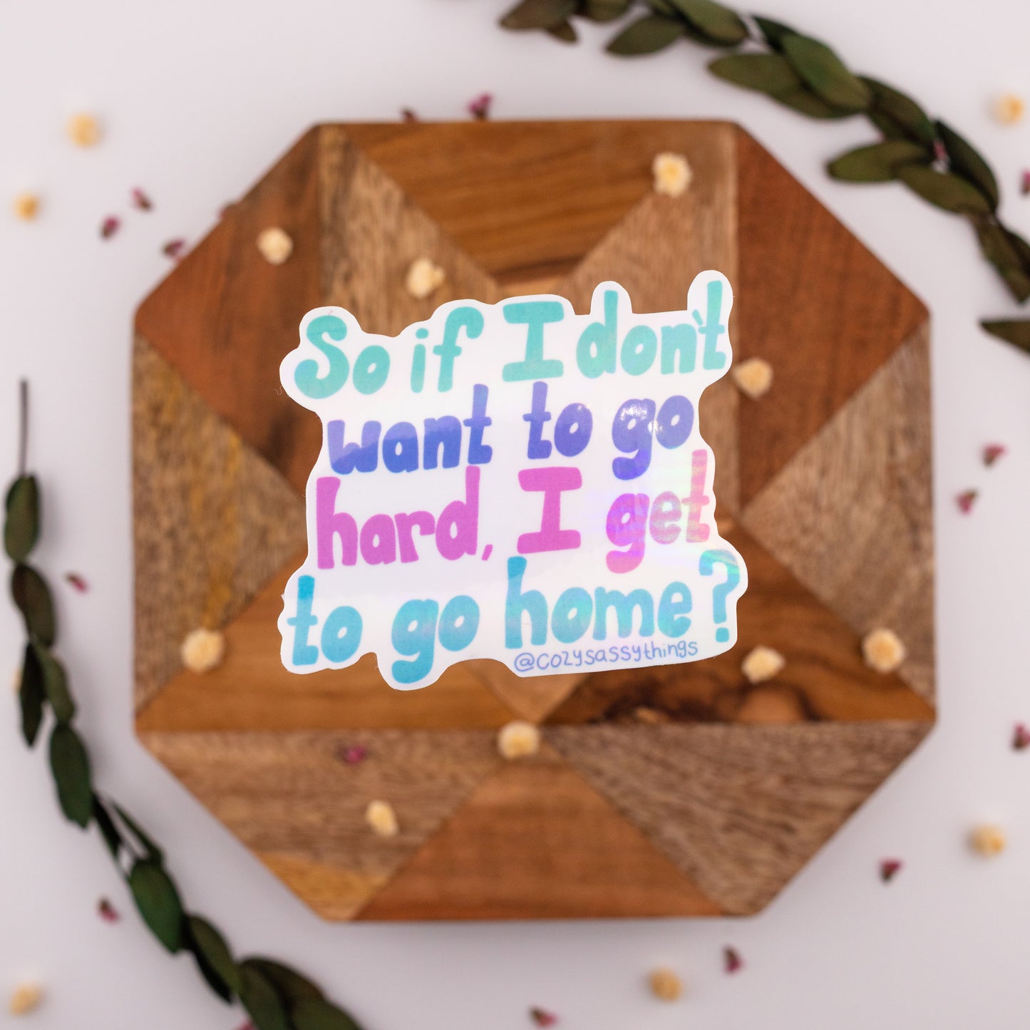 Don't Go hard, Go home - Vinyl Sticker